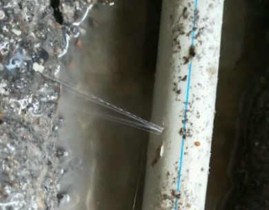 衢江测漏水哪家好