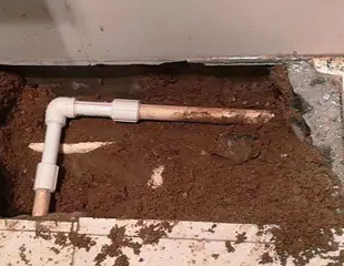 衢江测漏水哪家好