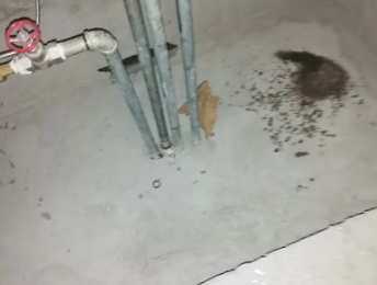 衢江卫生间测漏水价格明细