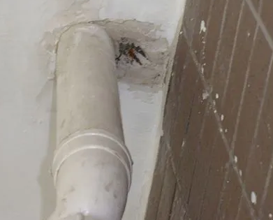 衢江漏水检测哪家好